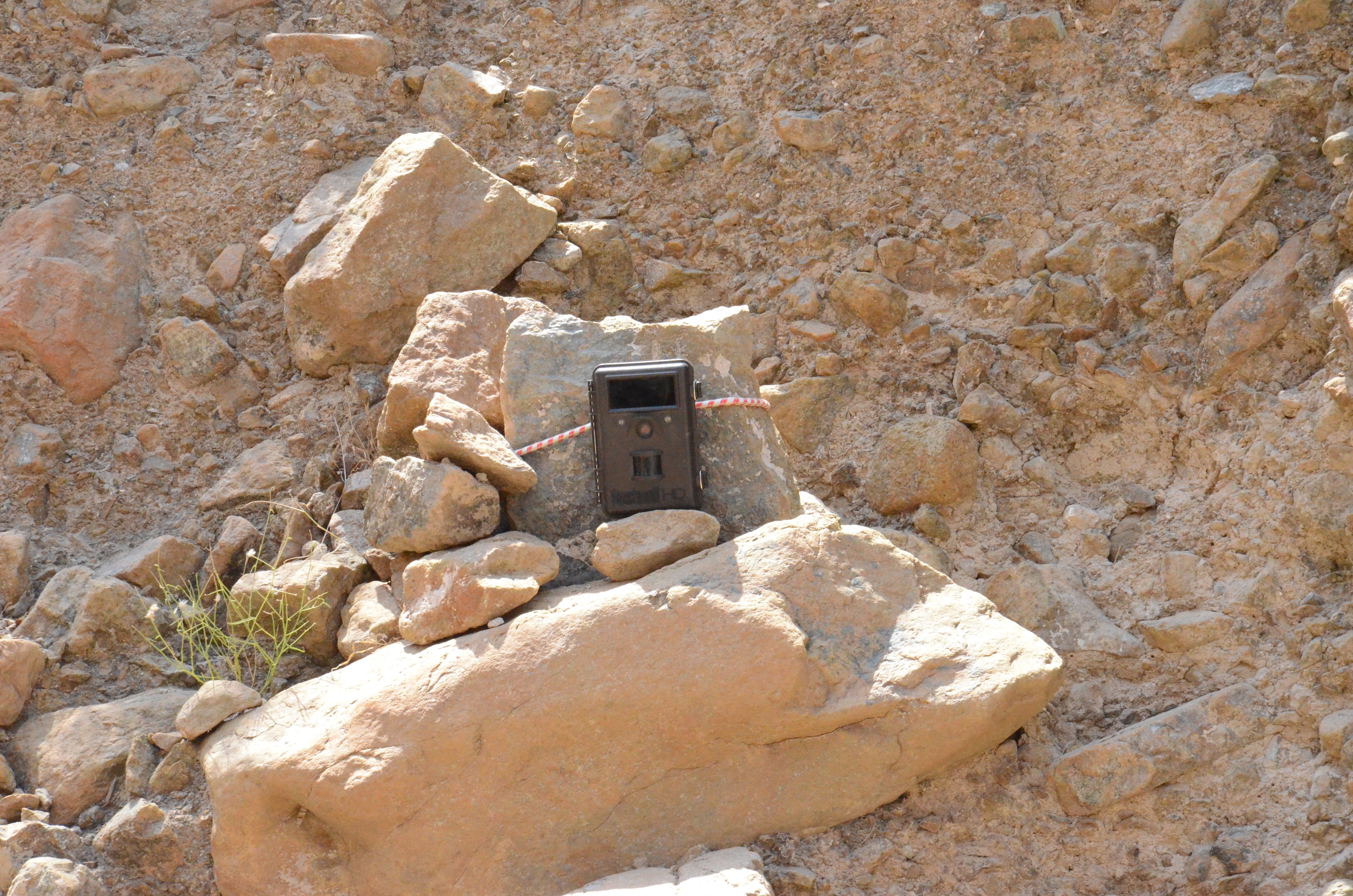 Focus on camera traps used in environmental conservation